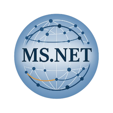 MSNET Group